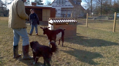 2012-02-19_15-21-35_689