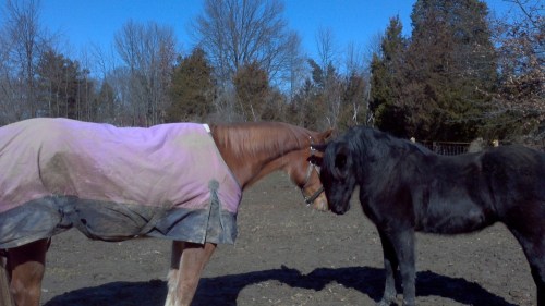 2012-02-26_12-59-42_224