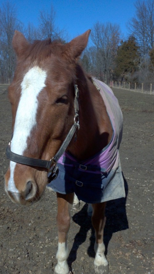 2012-02-26_13-00-36_677