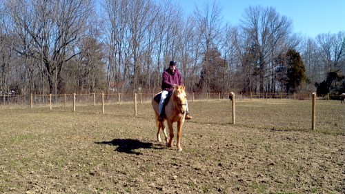 2012-03-11_11-42-44_952