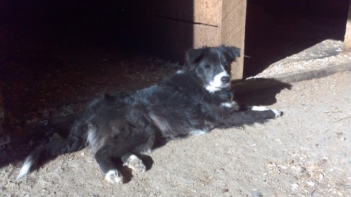 2012-03-11_16-39-11_590