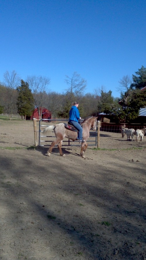 2012-04-07_16-37-14_57