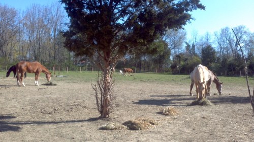 2012-04-08_09-04-45_205