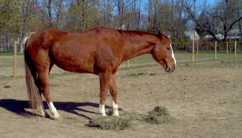 2012-04-08_09-06-03_679