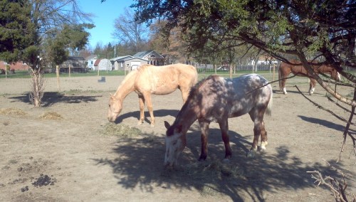 2012-04-08_09-06-33_709