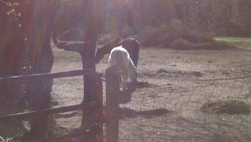 2012-04-08_09-07-16_584