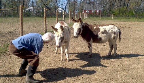 2012-04-08_15-49-08_707