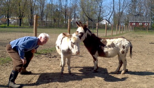 2012-04-08_15-49-17_882