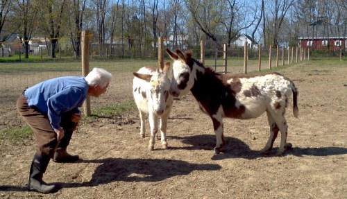 2012-04-08_15-49-33_82