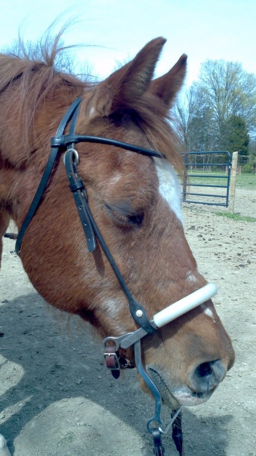 2012-04-14_15-07-48_479