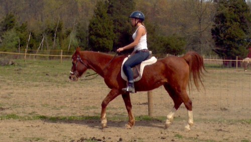 2012-04-14_15-13-28_555