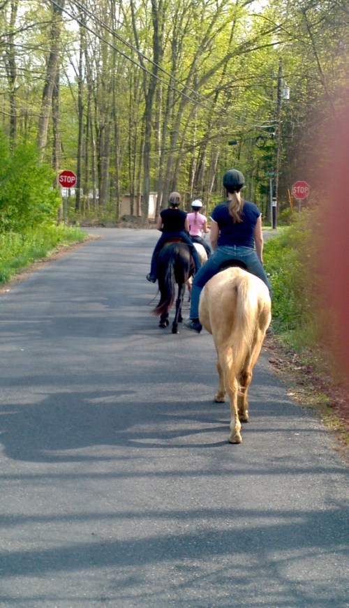 2012-04-21_16-26-29_422