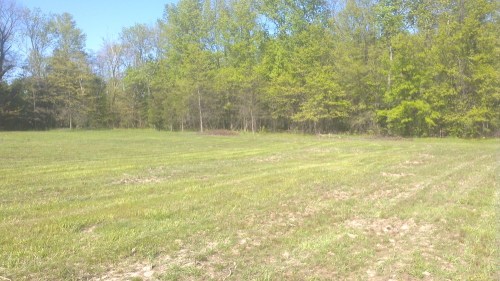 2012-04-29_16-29-15_61