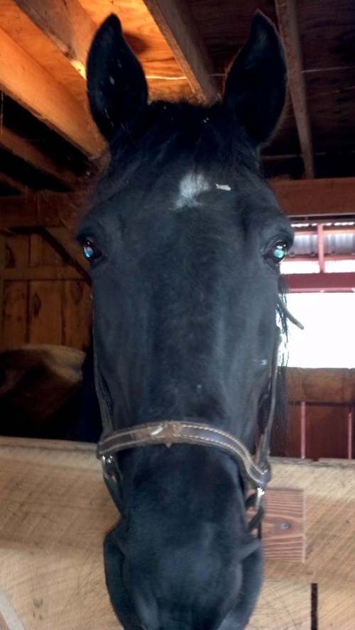 2012-05-04_11-59-17_866