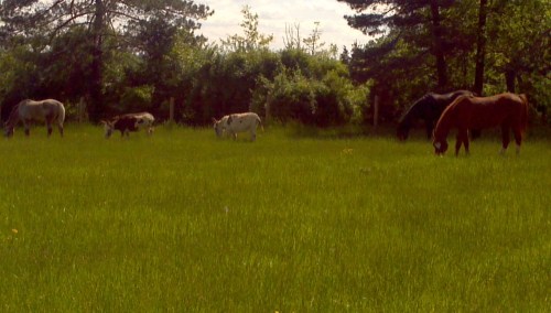 2012-05-11_15-36-01_411