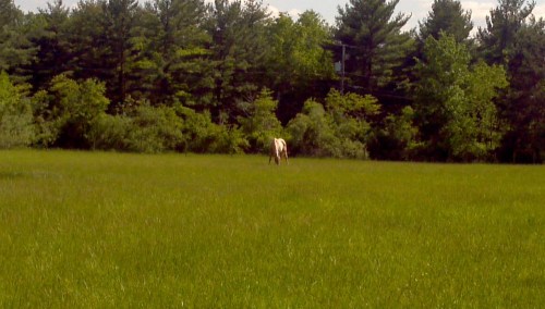 2012-05-11_15-36-12_497