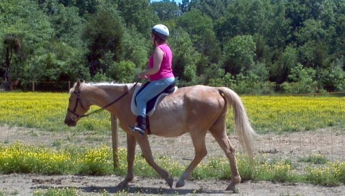 2012-05-19_11-50-38_607