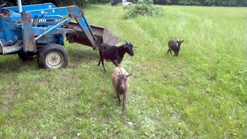 2012-05-27_13-03-38_722