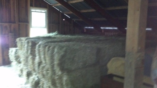 2012-06-29_19-45-10_448