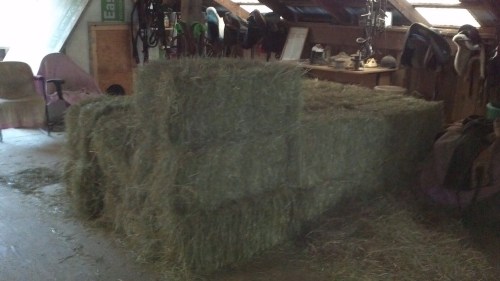 2012-06-29_19-45-23_161