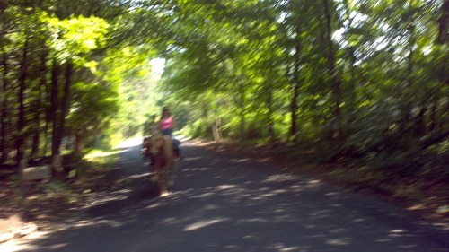 2012-07-01_10-55-22_177