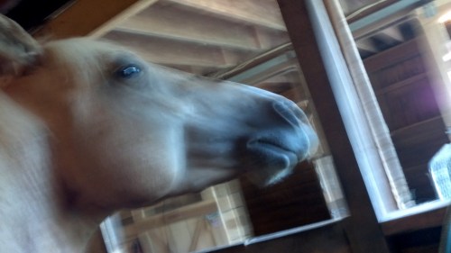 2012-07-14_13-30-47_260