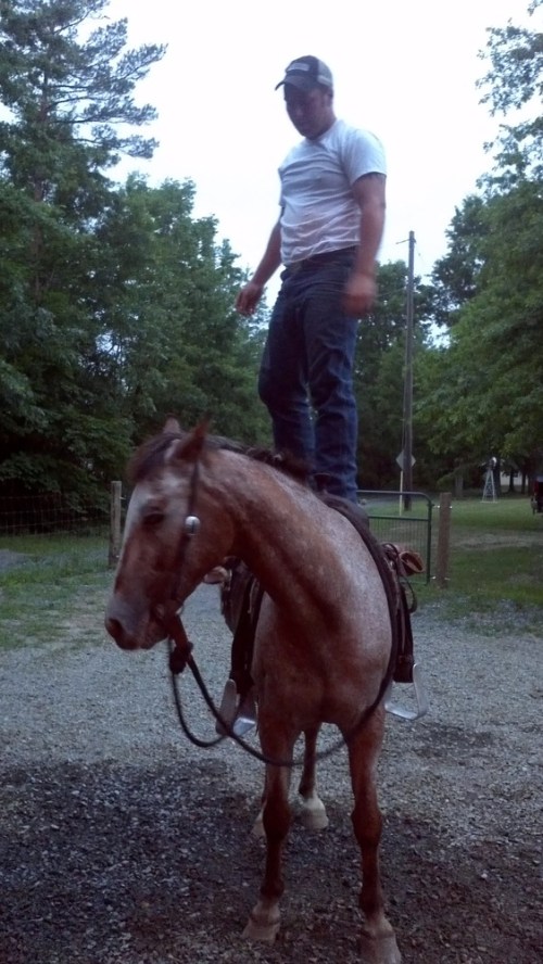 2012-07-19_20-29-36_339