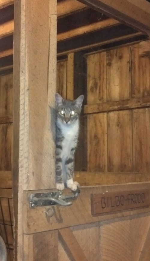 2012-07-25_20-54-34_243