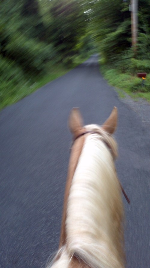 2012-08-08_19-36-58_908