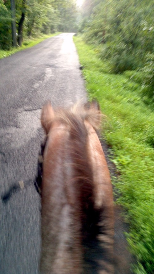 2012-08-09_18-51-35_408