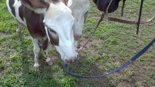 2012-08-10_17-08-35_744