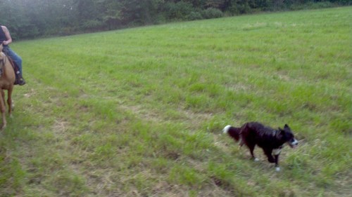 2012-08-10_17-35-44_9