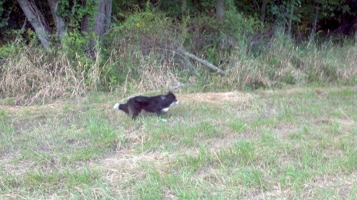 2012-08-10_17-41-52_362