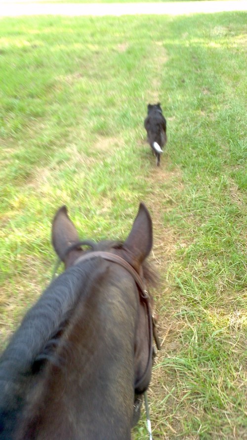 2012-08-10_17-54-17_649