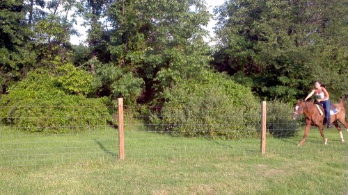 2012-08-10_18-07-04_492