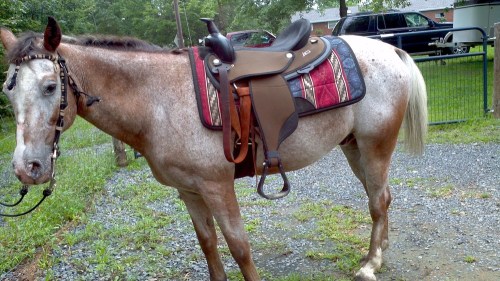 2012-08-11_10-30-38_892