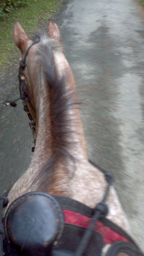 2012-08-11_10-36-36_966