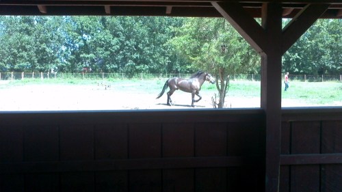 2012-08-12_11-50-26_962