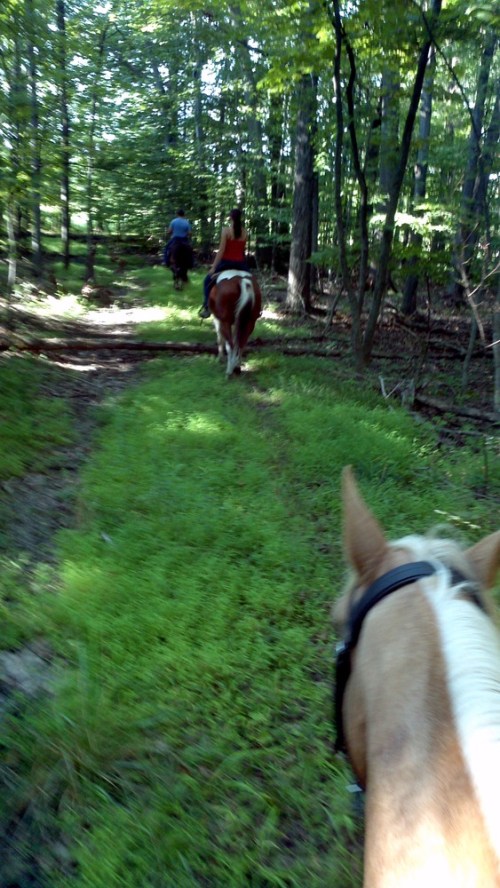 2012-08-12_17-25-54_982