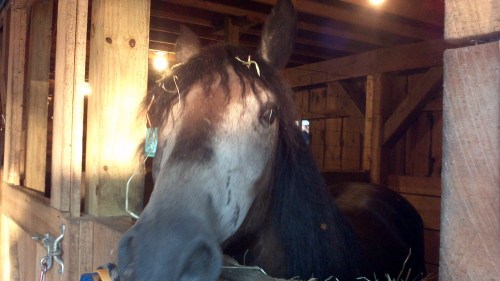 2012-08-12_19-20-01_791