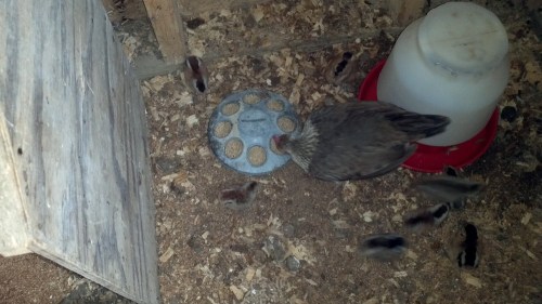 2012-08-15_16-37-10_393