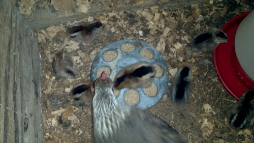 2012-08-15_16-37-20_43