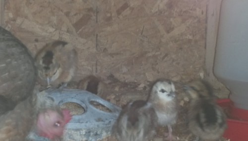 2012-08-15_16-37-44_773