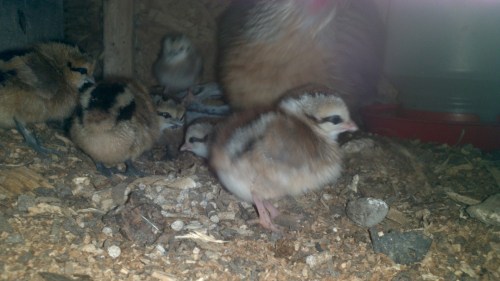 2012-08-15_16-40-09_241