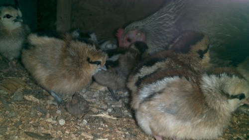 2012-08-15_16-40-18_723