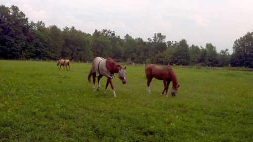 2012-08-15_16-49-52_619