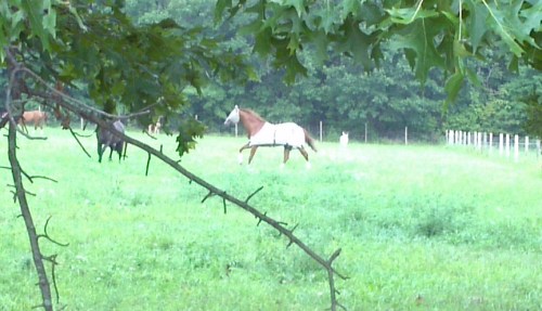 2012-08-15_16-53-01_642