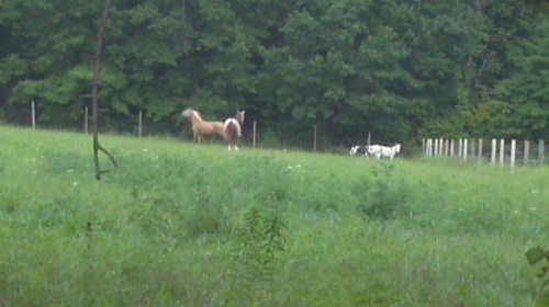 2012-08-15_16-53-14_873