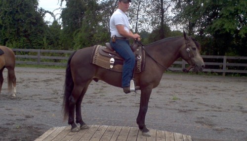 2012-08-19_12-48-21_90