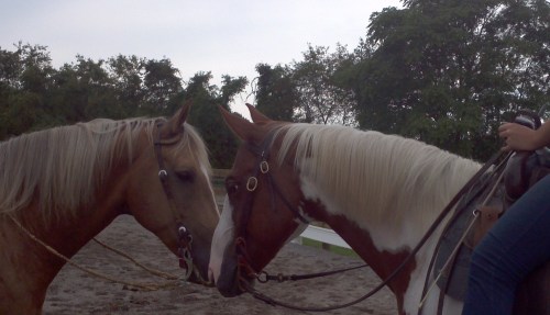 2012-08-19_15-33-47_760